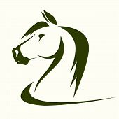 pic of horse  - Vector head of horse on a white background - JPG 