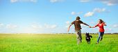 stock photo of dog  - Young happy lovers running with a dog on meadow with green grass and blue sky - JPG 