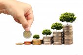 stock photo of investment  - Increase your savings - JPG 
