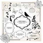 pic of illustration  - Set of  hand - JPG 