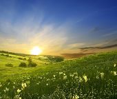 picture of sunset  - Sunset over green meadow grass and sky with clouds - JPG 
