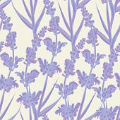 Lavender Seamless Pattern.
