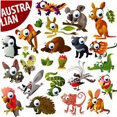 stock photo of animals  - australian animals big vector set - JPG 