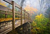 stock photo of bridge  - Autumn Appalachian Hiking Trail Foggy Nature Blue Ridge Fall Foliage Bridge near Grandfather Mountain - JPG 