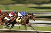 foto of horse  - Horse race shot a slow shutter speed to enhance motion effect - JPG 