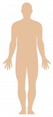 stock photo of outline  - Illustration of a plain human body outline - JPG 