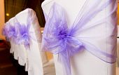pic of wedding  - White wedding chairs decorated with purple bows - JPG 