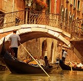 picture of sculling  - Traditional Venice gondola ride - JPG 