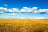 foto of blue sky  - the autumn landscape on background beautiful blue sky - JPG 