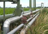 pic of industrial  - industrial pipelines for oil and gas through an agricultural landscape - JPG 