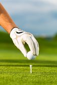 picture of golf  - Hand hold golf ball with tee on course - JPG 