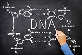 stock photo of science  - DNA blackboard drawing - JPG 