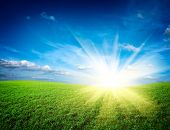 pic of sunset  - Sunset sun and field of green fresh grass under blue sky - JPG 