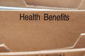pic of health  - Health Insurance Benefits section tab in folding file - JPG 
