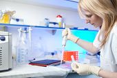 image of science  - portrait of a female researcher doing research in a lab - JPG 