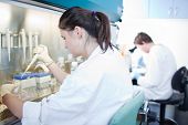 image of science  - portrait of a female researcher working in a lab - JPG 