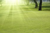pic of golf  - Golf course - JPG 