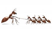 picture of competition  - ant rope pulling unbalanced business or sport rivalry business rivalry against bigger market leader team work tug of war market position struggle for life business competition strongest  power numbers - JPG 
