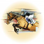 picture of horse  - Vector illustration  of a jumping horse and jockey - JPG 