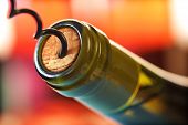 picture of food  - Opening a wine bottle with a cork screw in a restaurant - JPG 