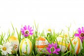 stock photo of holidays  - Row of Easter Eggs with Daisy on Fresh Green Grass - JPG 