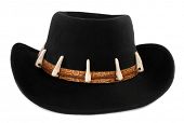 stock photo of hat  - Adventure Hat with crocodile teeth - JPG 