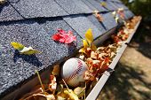 pic of sports  - Rain gutter full of autumn leaves with a baseball - JPG 