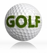 foto of golf  - golf green grass word on ball on white background - JPG 