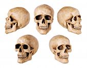 pic of skull  - synthetic skull many angle view on white with clipping path - JPG 