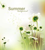 foto of summer  - Summer background - JPG 