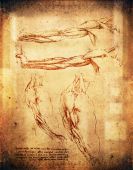 stock photo of da-vinci  - old leonardo da vinci style arms illustration - JPG 