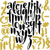 Vector alphabet. Hand drawn letters. Letters of the alphabet written with a brush.