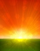 picture of sunset  - Sunset vertical vector background - JPG 