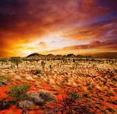 picture of sunset  - Sunset over a central Australian landscape - JPG 