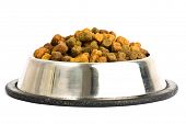 picture of dog  - dog food isolated - JPG 