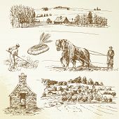 picture of horse  - rural landscape - JPG 