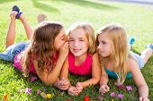 picture of group  - children friend girls group playing whispering on flowers grass in vacations - JPG 