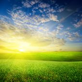 picture of blue sky  - field of summer green grass and sunset  - JPG 