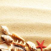 foto of sand  - sea shells with sand as background - JPG 