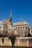 picture of france  - Cathedral of Notre Dame Paris Ile de France France - JPG 