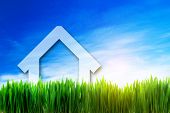 picture of investment  - New house perspective on green sunny field - JPG 