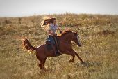picture of horse  - Beautiful girl riding a horse  in countryside - JPG 