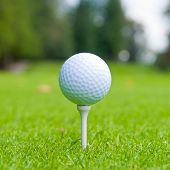 picture of golf  - Golf ball on tee over a blurred green - JPG 