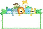 pic of illustration  - vector illustration of cute jungle baby animals with blank sign - JPG 