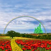 pic of yellow  - Illustration of the yellow brick road leading to the Emerald city through meadows and hill sides covered in red poppy flowers - JPG 