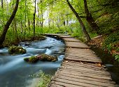 picture of nature  - Boardwalk in the park - JPG 