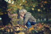 picture of boy  - Little boy and autumn leaves - JPG 
