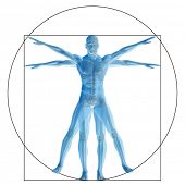 stock photo of da-vinci  - High resolution Vitruvian human or man as concept - JPG 