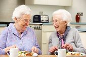 stock photo of home  - Senior women enjoying meal together at home - JPG 