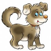 stock photo of over white  - clip - JPG 